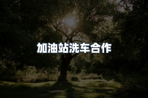 24小时无人洗车系列